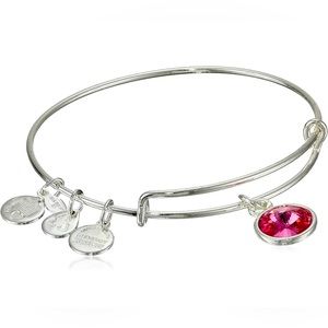 Alex and Ani Bangle Bar Imitation Birthstone Bangle Bracelet. STUNNING GIFT! ❤️
